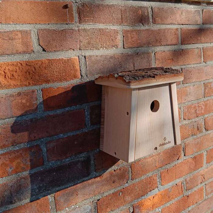 Vogelhuisje Stamnest