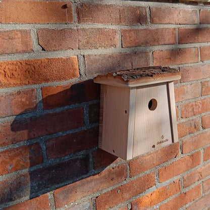 Vogelhuisje Stamnest
